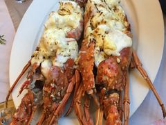 -Red Lobster