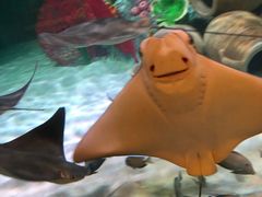 -沈阳海洋探索中心