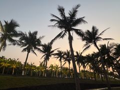 -西秀海滩公园