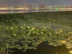 -唐山河头老街国丰维景国际大酒店