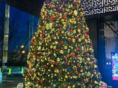 -北京希尔顿逸林酒店