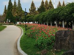 -苏州上方山国家森林公园