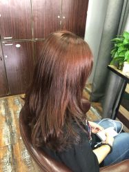 -镁连社·美联社