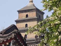 -大慈恩寺(大雁塔)