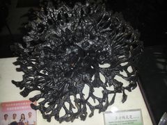 -广东中医药博物馆