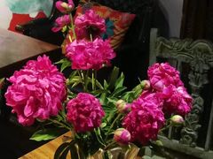 -六月花园咖啡馆(中关村东路店)