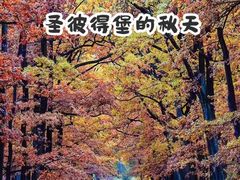 -叶卡捷琳娜宫