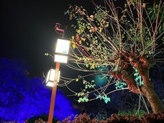 -灵秀温泉