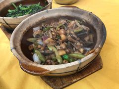 黄鳝牛蛙煲-汤氏美食台山水步特色黄鳝饭(龙津东路店)
