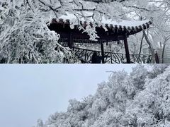 -张家界天门山国家森林公园