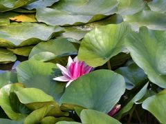 -处女泉风景名胜区