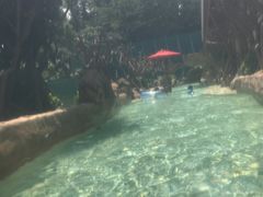 -新加坡水上探险乐园