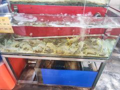 -大树下海鲜饭店