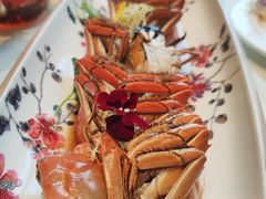 醉毛蟹-蝶园·装修中(BFC外滩金融中心店)