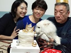 -CAKE BOSS 蛋糕老板(西单君太百货店)