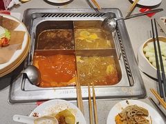 -海底捞火锅(赛格国际购物中心店)