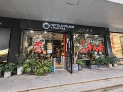 -酷以爬仙阁实体爬宠店·守宫·蜥蜴·专业繁育