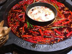 -蜀大侠火锅(建设路第五大道店)