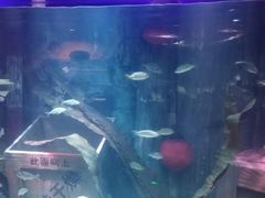 -沈阳海洋探索中心