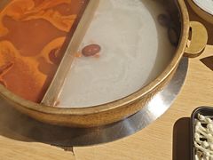 -东道煮牛肉火锅(东盛大街店)