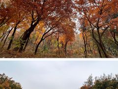 -北京西山国家森林公园