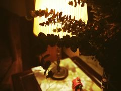 -马克咖啡The Moganshan Lodge
