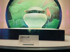 -四川宋瓷博物馆