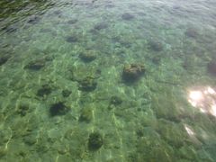 -东姑阿都拉曼海洋公园