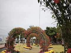 -野狸岛