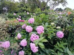 -杭州城北体育公园