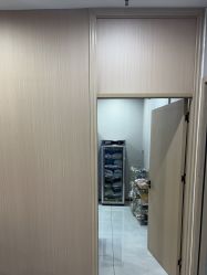 -碧莲盛不剃发植发