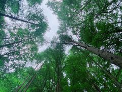 -波尔登森林公园