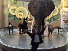 -陕西自然博物馆