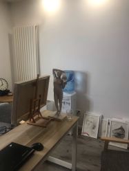 -一个差评成就的纹眉店
