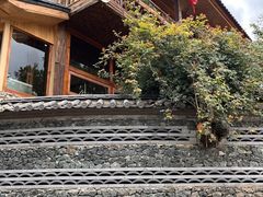 -玉湖村