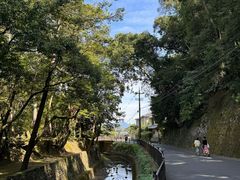 -西芳寺(苔寺)