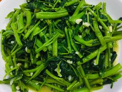 -全乐鱼馆·淳牌有机鱼直营店