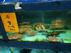 海鲜池-金苑海鲜酒家(新港中路店)