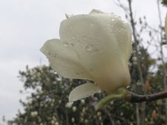 -白塘生态植物园