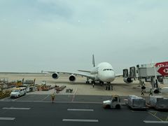 -上海浦东国际机场-T2航站楼