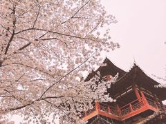 -西安青龙寺遗址景区
