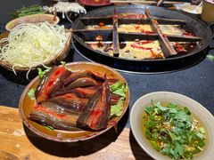 -洋马儿火锅(解放碑店)