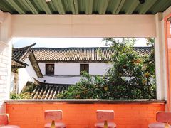 -喵屿·大理花园猫咖