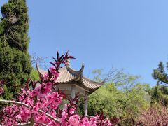 -老龙头景区