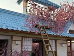-Blue Concept Cafe&Farm·關於藍