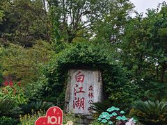 -广州白江湖森林公园