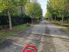 -永定河休闲森林公园