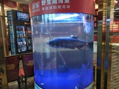 -解家河南菜(商鼎路店)