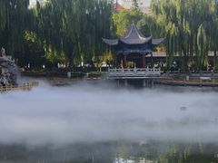 -金城公园