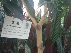 -汤山翠谷生态餐厅